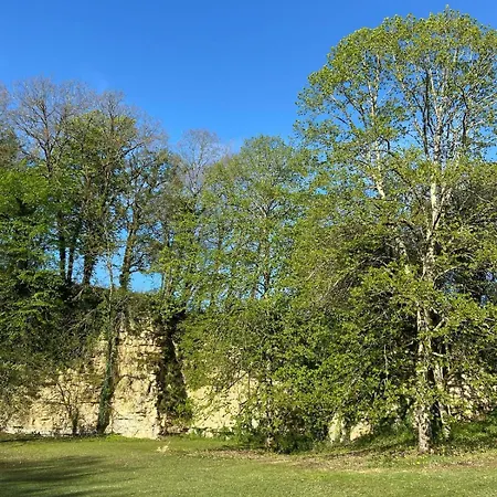 Chateau De Briand Casa vacanze Luxé